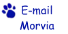 Email Morvia2@yahoo.com